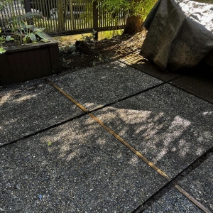 Lynnwood Busy Bee Power Washing