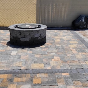 Photo of Sagos Landscape Tree Service