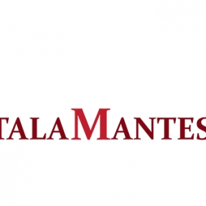 Photo of Talamantes Immigration Law Firm
