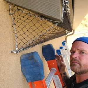 Photo of All Star Animal Trapping