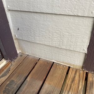 Photo of Excelsior Exteriors
