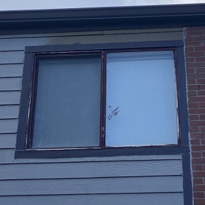 Photo of Excelsior Exteriors