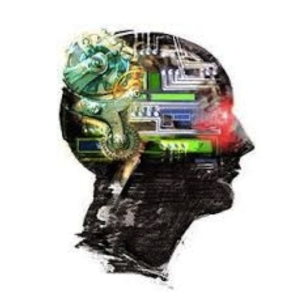 Photo of Felix Web Design