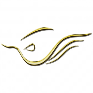 Catonsville Kaydelon Corporation